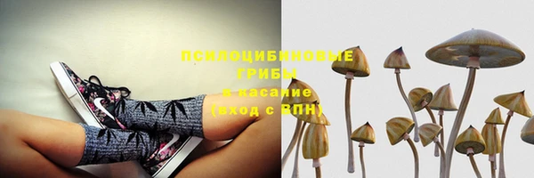 mdpv Коряжма