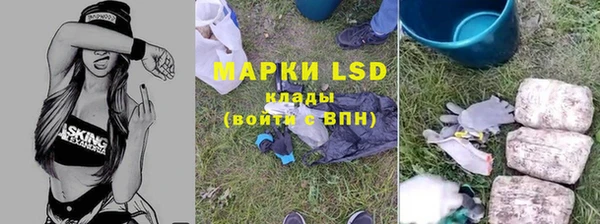 mdpv Коряжма