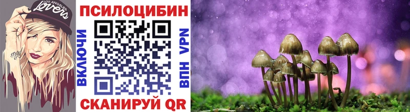 Галлюциногенные грибы MAGIC MUSHROOMS наркошоп Мещовск